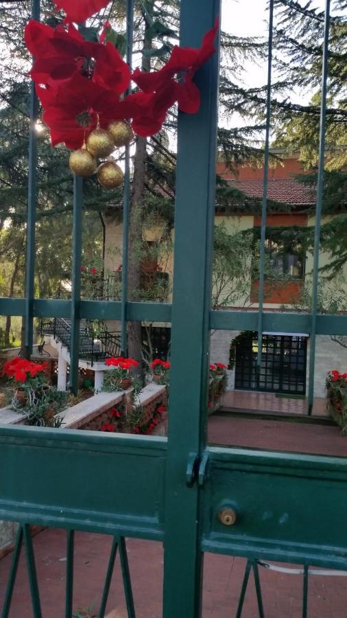 Villa Morgante B&B Педара Экстерьер фото
